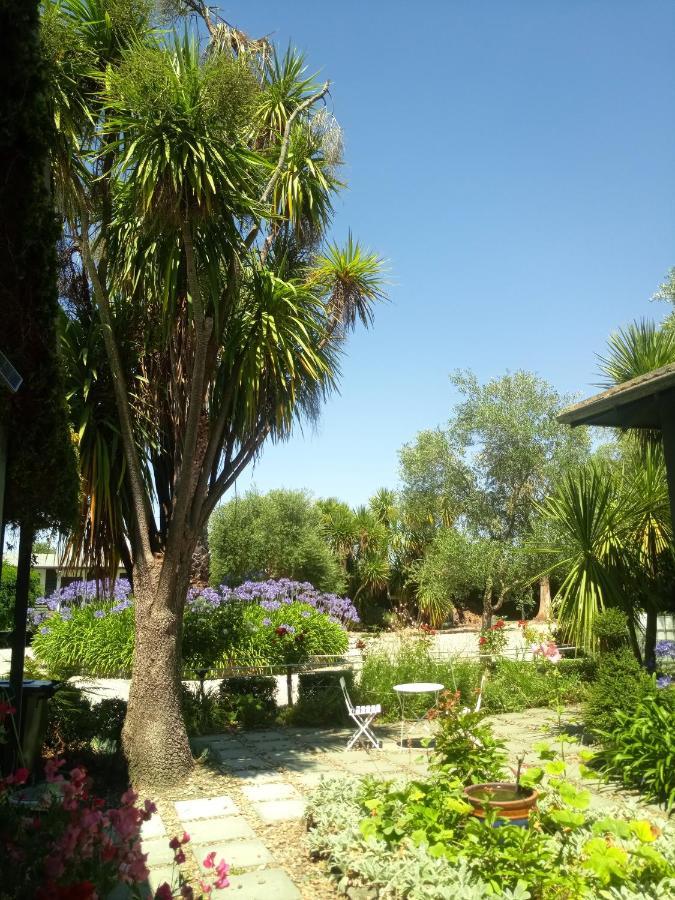 Irongate Retreat Bed & Breakfast Хейстингс Екстериор снимка