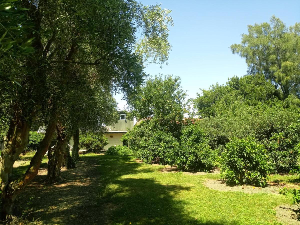 Irongate Retreat Bed & Breakfast Хейстингс Екстериор снимка