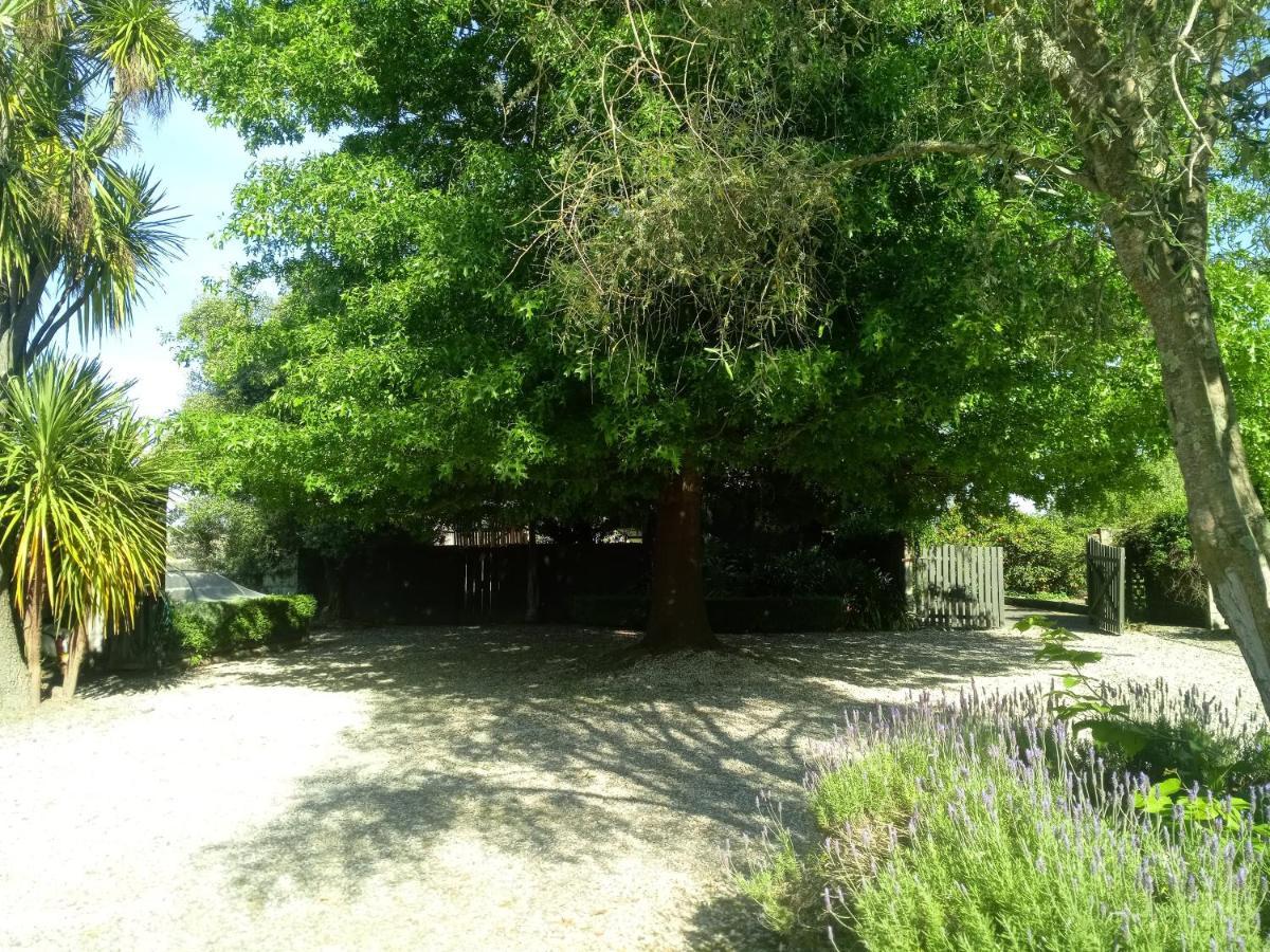 Irongate Retreat Bed & Breakfast Хейстингс Екстериор снимка