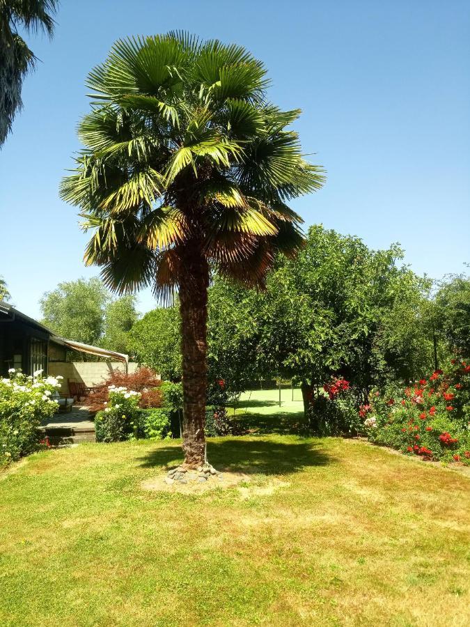 Irongate Retreat Bed & Breakfast Хейстингс Екстериор снимка